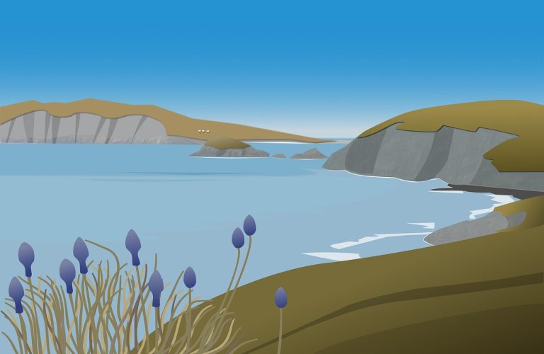 cat costa sa faci o balta de pescuit