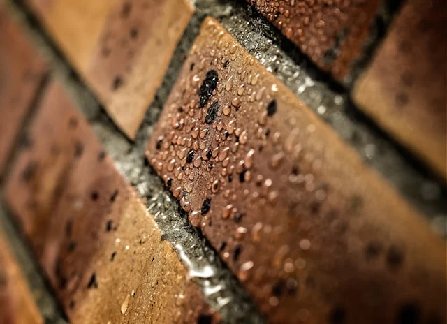 ricardo gomez angel 7bdeonsepk8 unsplash