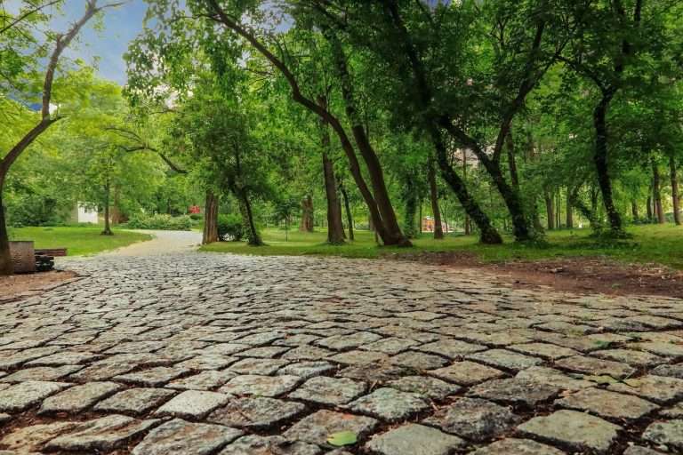 Vanzari auto primul proprietar Germania ce trebuie sa stii